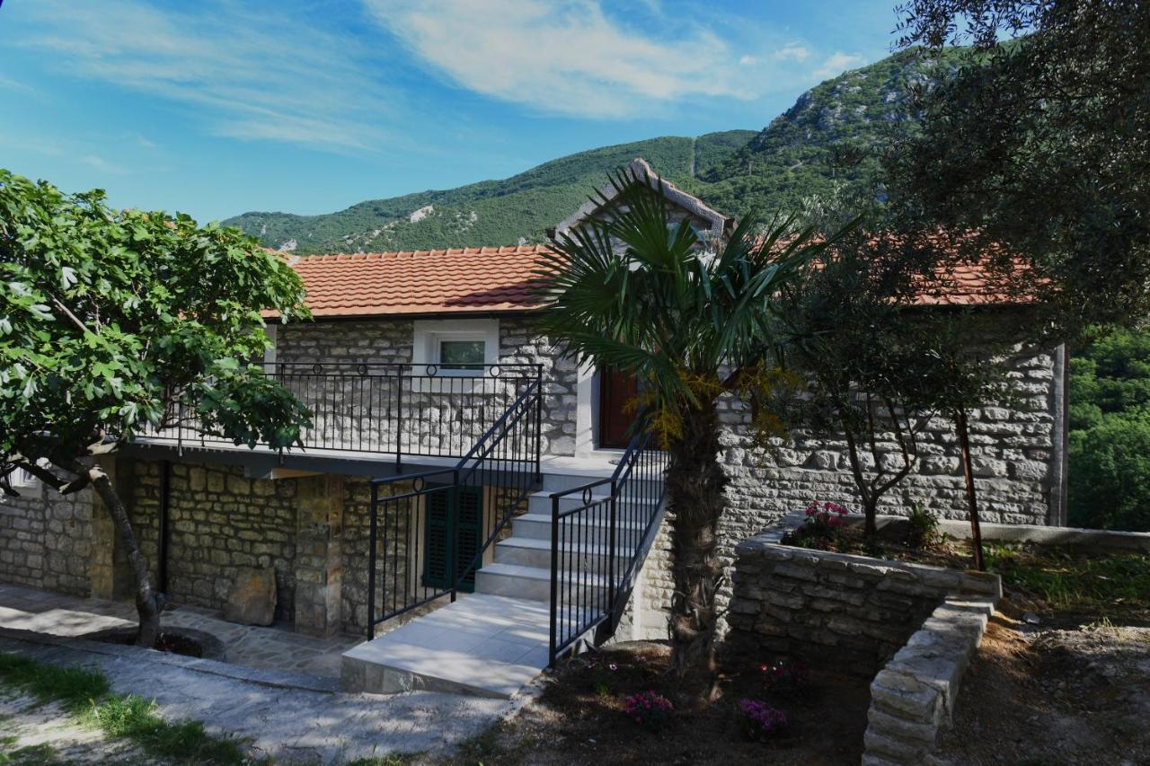 科托尔Stone House Morinj公寓 外观 照片